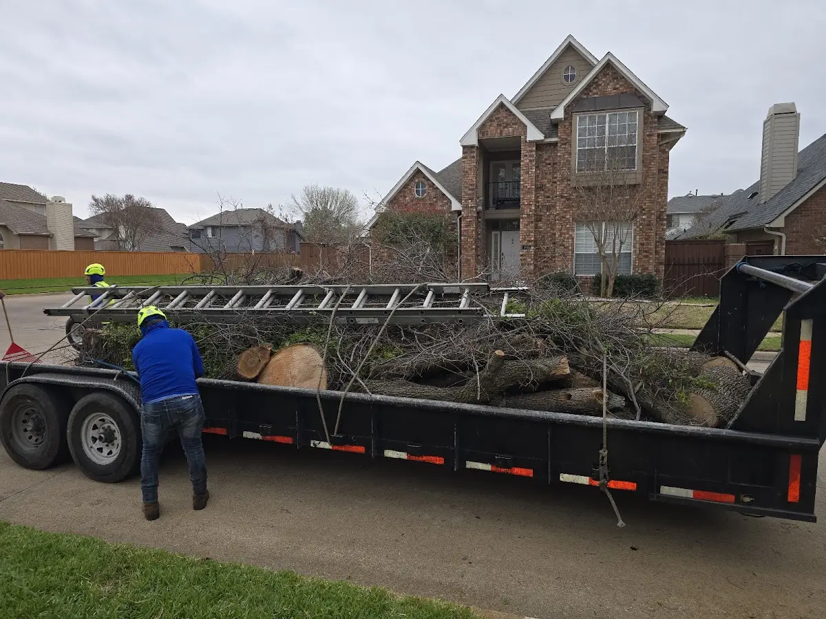 Expert Tree Fertilization with proper safety equipment in Clarksdale